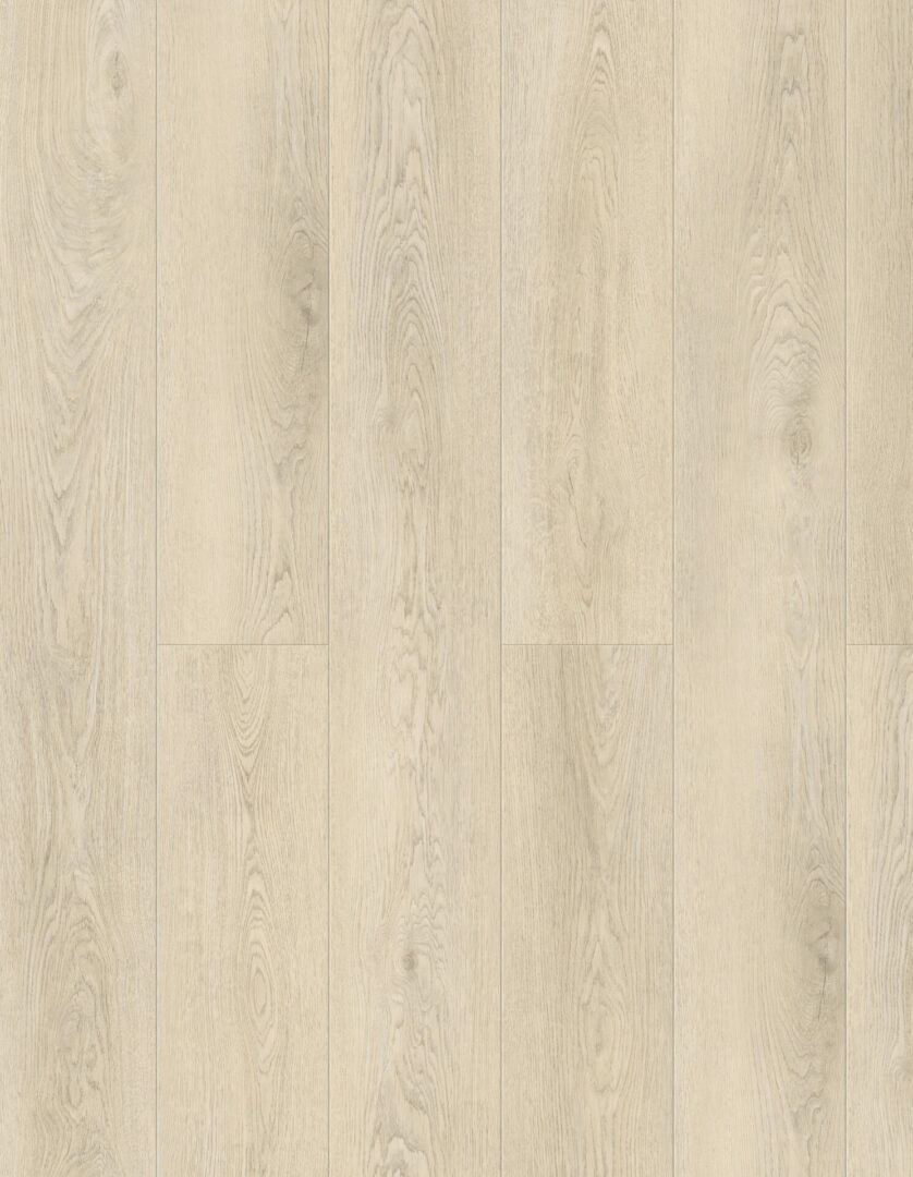 A pale colored Sylvatic flooring