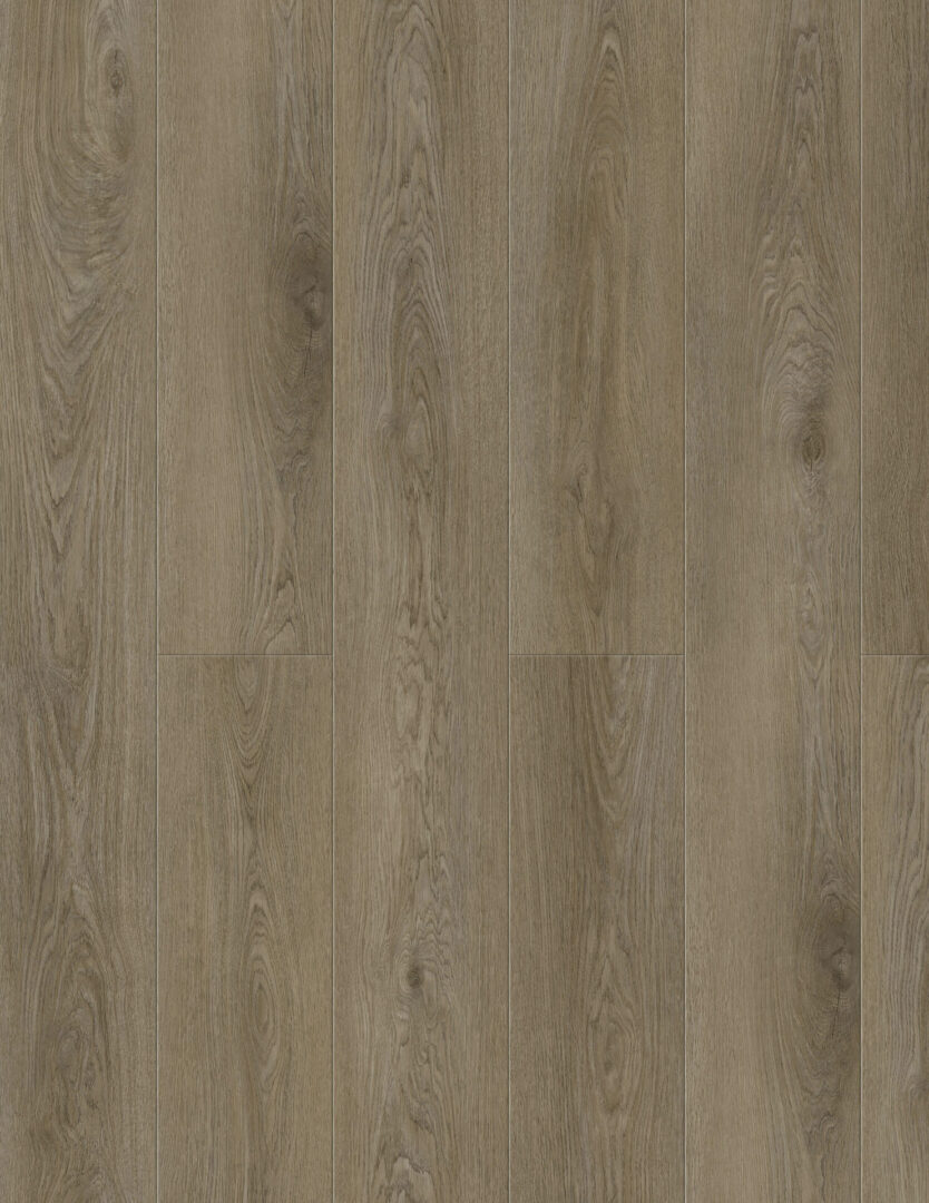 A darker toned Sylvatic flooring