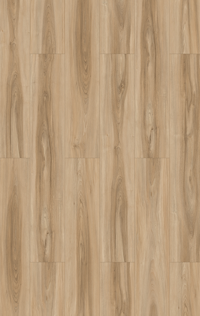 A brown Sapwood flooring