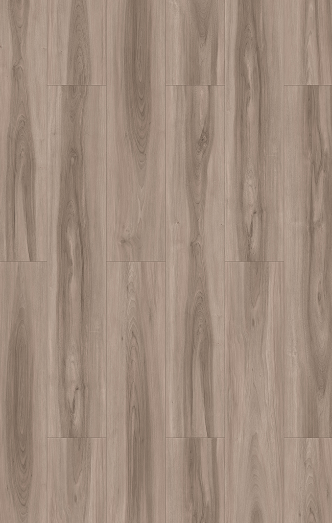 A grey Sapwood flooring