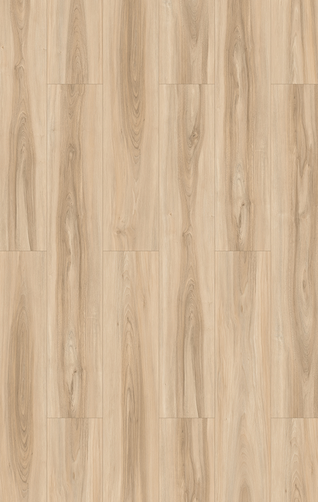 A pale brown Sapwood flooring